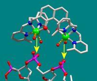 Preventing the spread of cancer with copper molecules Preventing the spread of cancer with copper molecules